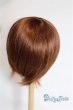 画像2: 9-10inch/ウィッグ/インチ　BJD　MJD　ドール用 A-25-05-21-024-NY-ZA (2)