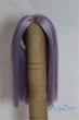 画像1: 4inch/ウィッグ/インチ　BJD　MJD　ドール用 A-25-05-21-031-NY-ZA (1)