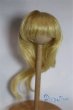 画像1: 6-7inch/ウィッグ/インチ　BJD　MJD　ドール用 A-25-05-21-011-NY-ZA (1)