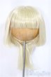 画像1: 8-9inch/ウィッグ　Catkin Cherry様製/インチ　BJD　MJD　ドール用 A-25-05-14-102-NY-ZA (1)