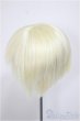 画像2: 8-9inch/ウィッグ/インチ　BJD　MJD　ドール用 A-25-08-13-375-NY-ZA (2)