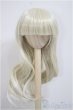画像1: 9-10inch/ウィッグ/インチ　BJD　MJD　ドール用 A-25-06-25-392-NY-ZA (1)