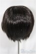 画像2: 8-9inch/ウィッグ VOLKS　W-196D/インチ　BJD　MJD　ドール用 A-25-05-14-216-KD-ZA (2)