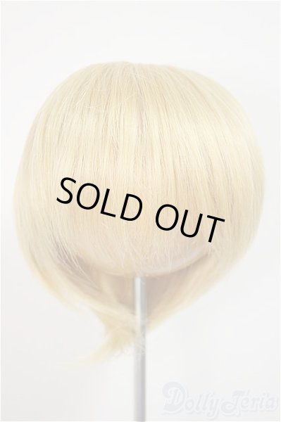 画像1: 8-9inch/ウィッグ/インチ　BJD　MJD　ドール用 A-25-10-22-351-NY-ZA (1)