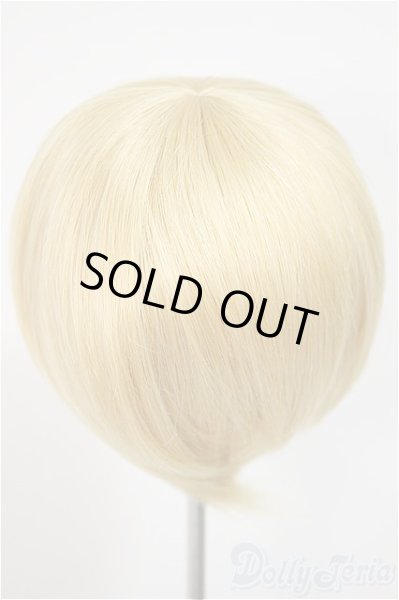 画像2: 8-9inch/ウィッグ/インチ　BJD　MJD　ドール用 A-25-10-22-351-NY-ZA (2)