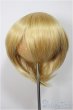 画像1: 8-9inch/ウィッグ/インチ　BJD　MJD　ドール用 A-25-06-25-246-NY-ZA (1)