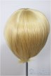 画像2: 8-9inch/ウィッグ/インチ　BJD　MJD　ドール用 A-25-06-25-246-NY-ZA (2)