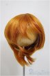 画像1: 8-9inch/ウィッグ/インチ　BJD　MJD　ドール用 A-25-06-25-336-NY-ZA (1)