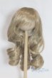 画像1: 8-9inch/ウィッグ/インチ　BJD　MJD　ドール用 A-25-05-28-018-NY-ZA (1)