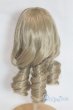 画像2: 8-9inch/ウィッグ/インチ　BJD　MJD　ドール用 A-25-05-28-018-NY-ZA (2)