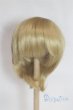 画像1: 8-9inch/ウィッグ/インチ　BJD　MJD　ドール用 A-25-05-28-019-NY-ZA (1)