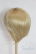 画像2: 8-9inch/ウィッグ/インチ　BJD　MJD　ドール用 A-25-05-28-019-NY-ZA (2)