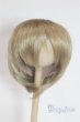 画像1: 8-9inch/ウィッグ/インチ　BJD　MJD　ドール用 A-25-05-28-023-NY-ZA (1)