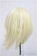 画像2: 7-8inch/ウィッグ/インチ　BJD　MJD　ドール用 A-25-06-25-337-NY-ZA (2)