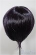 画像2: 8-9inch/ウィッグ/インチ　BJD　MJD　ドール用 A-25-06-25-245-NY-ZA (2)