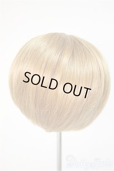 画像2: 8-9inch/ウィッグ/インチ　BJD　MJD　ドール用 A-25-10-22-383-NY-ZA (2)