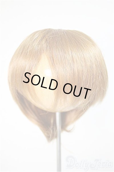 画像1: 8-9inch/ウィッグ/インチ　BJD　MJD　ドール用 A-25-10-22-382-NY-ZA (1)