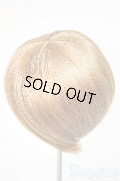 画像2: 8-9inch/ウィッグ/インチ　BJD　MJD　ドール用 A-25-10-22-382-NY-ZA (2)