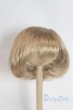 画像1: 7-8inch/ウィッグ/インチ　BJD　MJD　ドール用 A-25-05-28-020-NY-ZA (1)