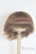 画像1: 7-8inch/ウィッグ/インチ　BJD　MJD　ドール用 A-25-05-28-002-NY-ZA (1)
