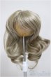 画像1: 7-8inch/ウィッグ/インチ　BJD　MJD　ドール用 A-25-06-25-340-NY-ZA (1)