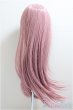 画像2: 8-9inch/ウィッグ/インチ　BJD　MJD　ドール用 A-25-05-28-130-NY-ZA (2)