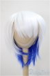 画像1: 8-9inch/ウィッグ/インチ　BJD　MJD　ドール用 A-25-05-21-278-NY-ZA (1)