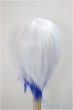 画像2: 8-9inch/ウィッグ/インチ　BJD　MJD　ドール用 A-25-05-21-278-NY-ZA (2)