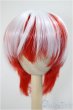 画像1: 8-9inch/ウィッグ/インチ　BJD　MJD　ドール用 A-25-05-21-276-NY-ZA (1)
