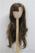 画像1: 8-9inch/ウィッグ/インチ　BJD　MJD　ドール用 A-25-05-21-274-NY-ZA (1)