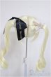 画像2: 9inch/ウィッグ/インチ　BJD　MJD　ドール用 A-25-06-11-300-NY-ZA (2)