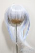 画像1: 9inch/ウィッグ/インチ　BJD　MJD　ドール用 A-25-06-25-273-NY-ZA (1)