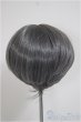 画像2: 9inch/ウィッグ/インチ　BJD　MJD　ドール用 A-25-06-11-297-NY-ZA (2)
