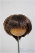 画像1: 6-7inch/ウィッグ/インチ　BJD　MJD　ドール用 A-25-06-11-298-NY-ZA (1)