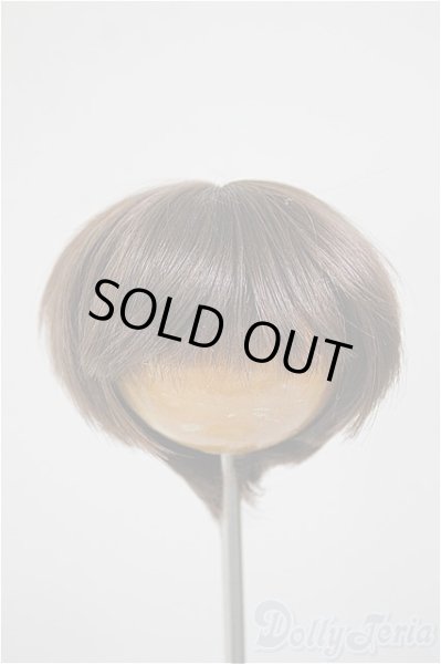 画像1: 6-7inch/ウィッグ/インチ　BJD　MJD　ドール用 A-25-06-11-298-NY-ZA (1)