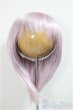 画像1: 9inch/ウィッグ/インチ　BJD　MJD　ドール用 A-25-05-28-241-NY-ZA (1)