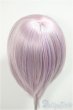 画像2: 9inch/ウィッグ/インチ　BJD　MJD　ドール用 A-25-05-28-241-NY-ZA (2)