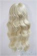 画像2: 7-8inch/ウィッグ/インチ　BJD　MJD　ドール用 A-25-05-21-349-NY-ZA (2)