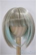 画像1: 9-10inch/ウィッグ/インチ　BJD　MJD　ドール用 A-25-05-21-338-NY-ZA (1)