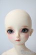 画像2: SDM女の子/コーディネートモデルF-58 U-25-05-27-212-NY-ZU (2)