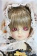 画像1: 幼SD/たんぽぽ U-25-06-10-211-NY-ZU (1)