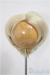 画像1: 9inch/ウィッグ/インチ BJD MJD ドール用 A-25-10-29-299-NY-ZA (1)