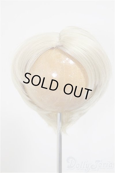 画像1: 9inch/ウィッグ/インチ　BJD　MJD　ドール用 A-25-10-29-299-NY-ZA (1)