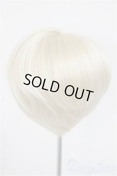 画像2: 9inch/ウィッグ/インチ　BJD　MJD　ドール用 A-25-10-29-299-NY-ZA (2)