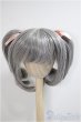 画像1: 8-9inch/ウィッグ　PenginWorkshop様製/インチ　BJD　MJD　ドール用 A-25-05-28-340-KD-ZA (1)