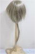 画像2: 9-10inch/ウィッグ/インチ　BJD　MJD　ドール用 A-25-05-28-396-KD-ZA (2)