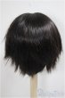 画像2: 9-10inch/ウィッグ/インチ　BJD　MJD　ドール用 A-25-05-28-397-KD-ZA (2)