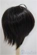 画像2: 9-10inch/ウィッグ/インチ　BJD　MJD　ドール用 A-25-05-28-395-KD-ZA (2)