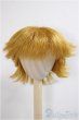 画像1: 9-10inch/ウィッグ/インチ　BJD　MJD　ドール用 A-25-05-28-398-KD-ZA (1)