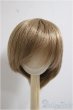 画像1: 9-10inch/ウィッグ/インチ　BJD　MJD　ドール用 A-25-06-04-154-KD-ZA (1)